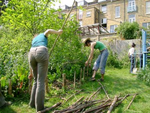 food forest