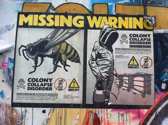colony collapse