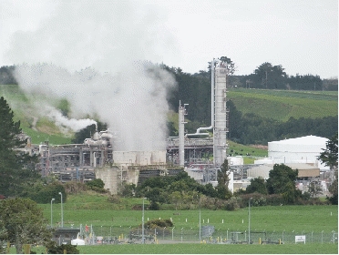 Waitara valley plant