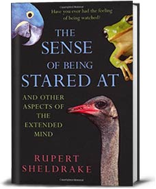 Sense-of-Being-Stared-At-UK