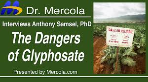 mercola