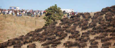 205179_banner-400x168