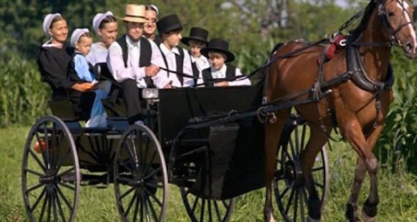 why-dont-amish-get-cancer-600x300