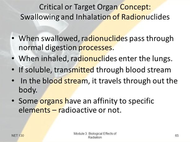 biological effect of radiation.jpg
