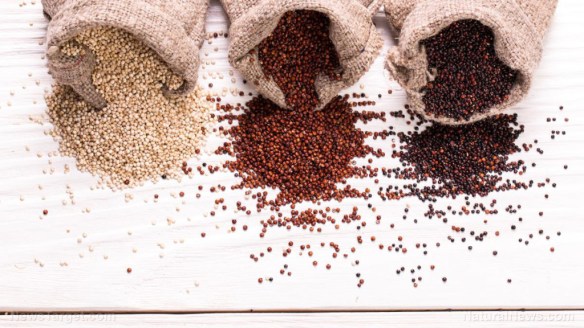 Red-Black-White-Quinoa-Seeds