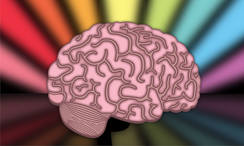 brain