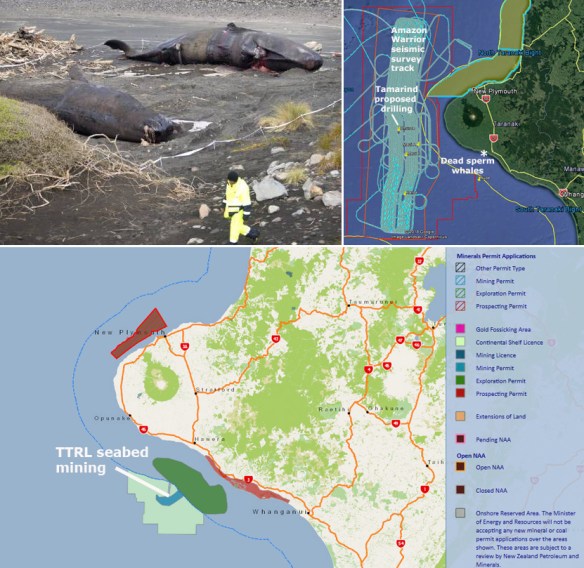 sperm whale Andy Jackson 28May18 stuff AW track mineral permits collage