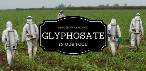 Featured Image -- 19934