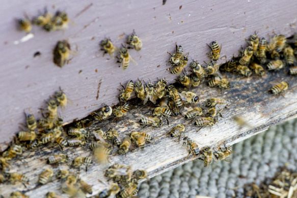 Featured Image -- 23698