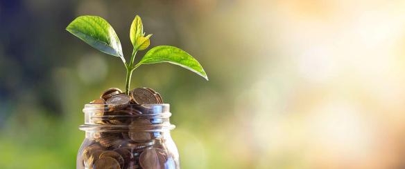 Featured Image -- 26896