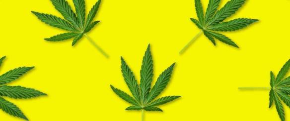 Featured Image -- 26810