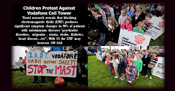 Featured Image -- 27958