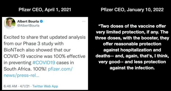 This image has an empty alt attribute; its file name is pfizer-quotes.png